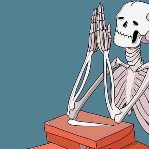 Meet your Posher, Hailey - Picture 1 of 1